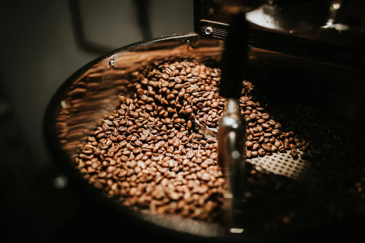 Granos de café recién tostados en una tostadora industrial