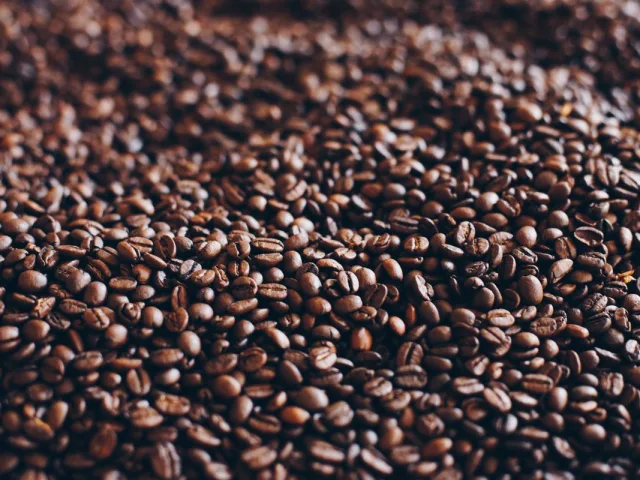 Café en grano